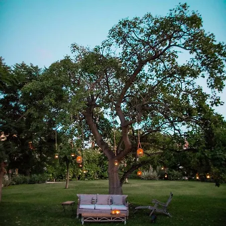 Hotel Casa La Concha Boutique